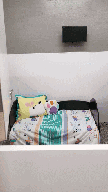 dog suite interior view